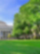 Allee grüne Bäume