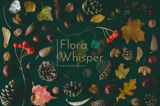 Welcome to Flora Whisper: Where Nature's Artistry Blooms!