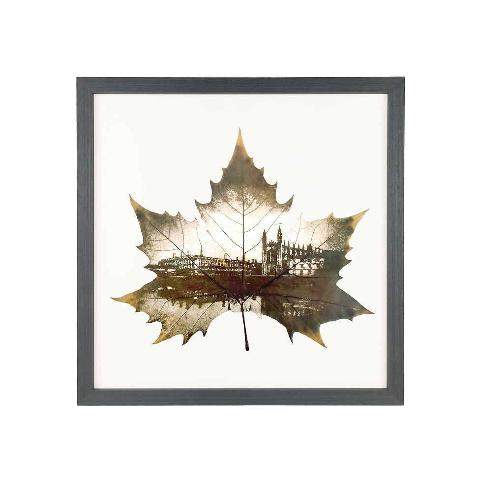 Thumbnail: King's College Chapel-Cambridge University Leaf Carving Art In Basic Black Frame