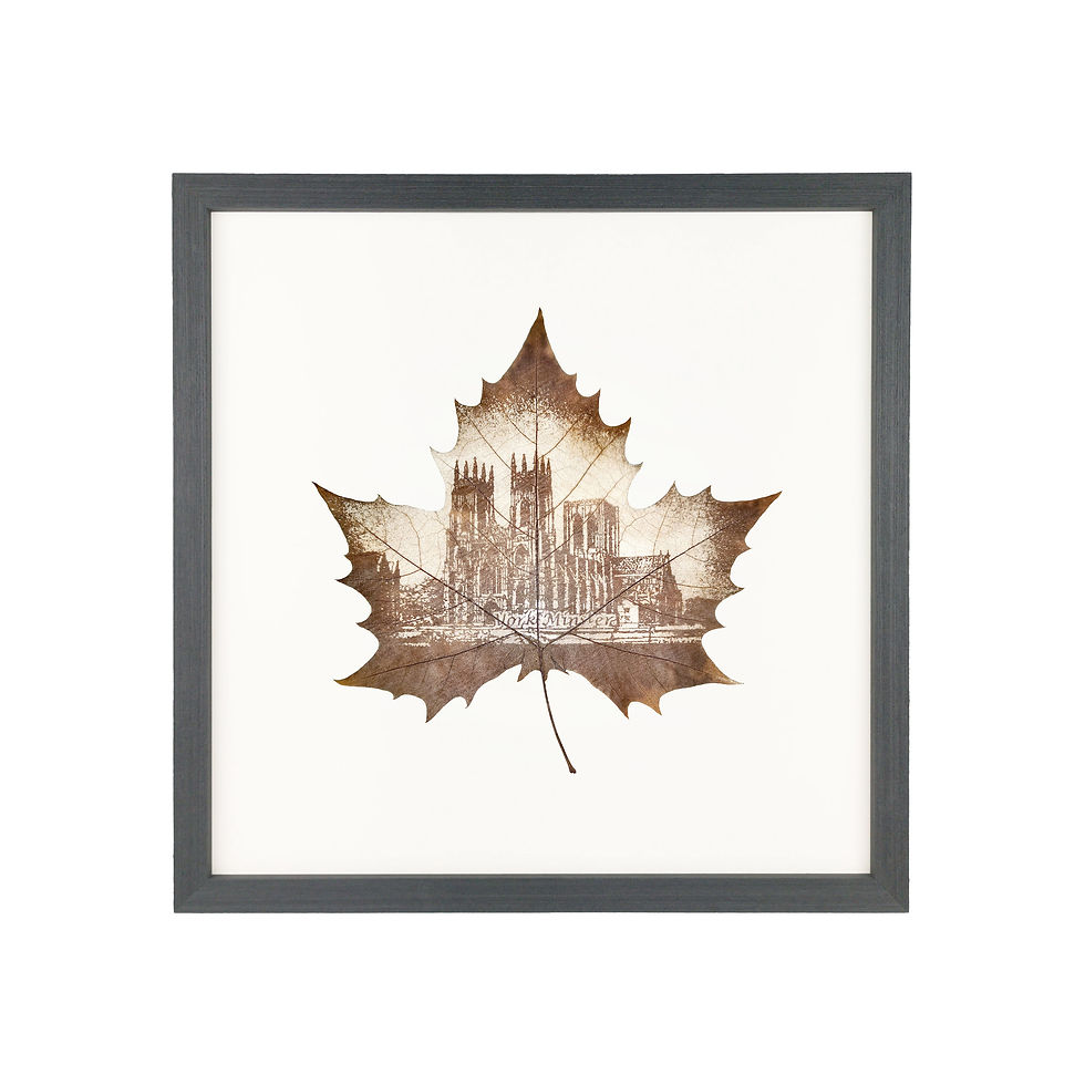 Thumbnail: York Minster Leaf Carving Art In Basic Black Frame