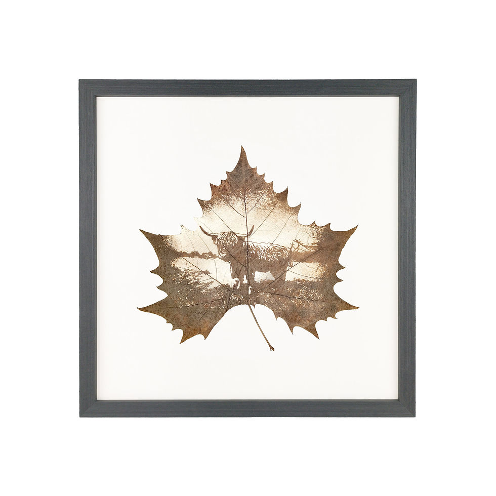 Thumbnail: Highland Cow Leaf Carving Art In Basic Black Frame