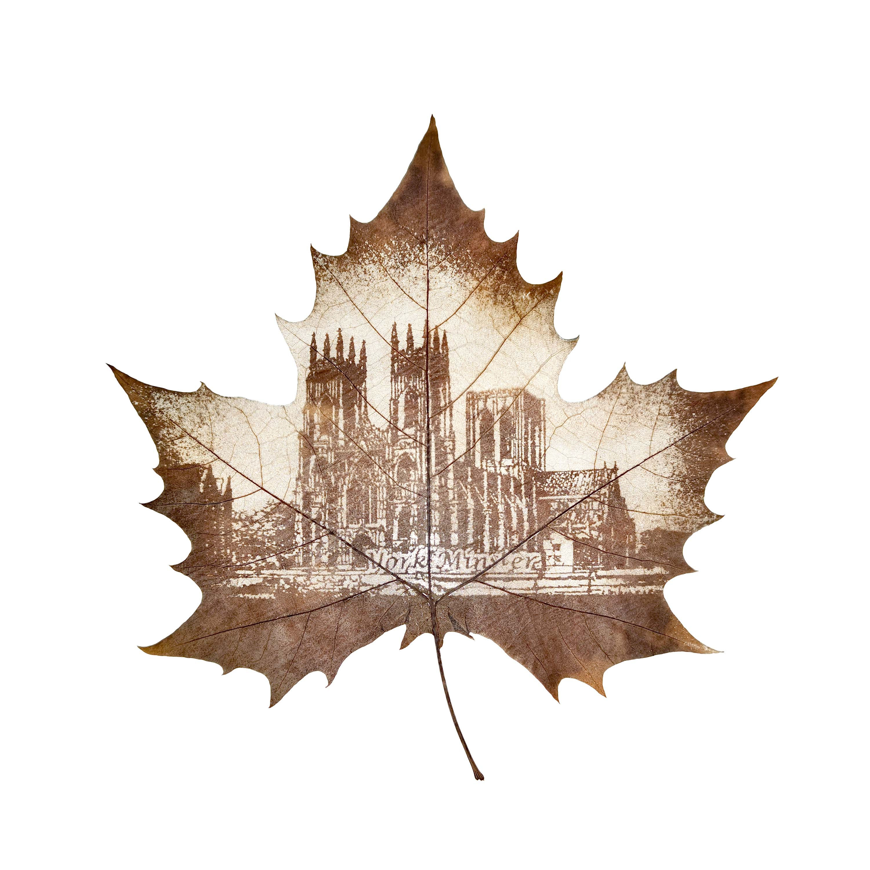 York Minster Leaf Carving Art Main