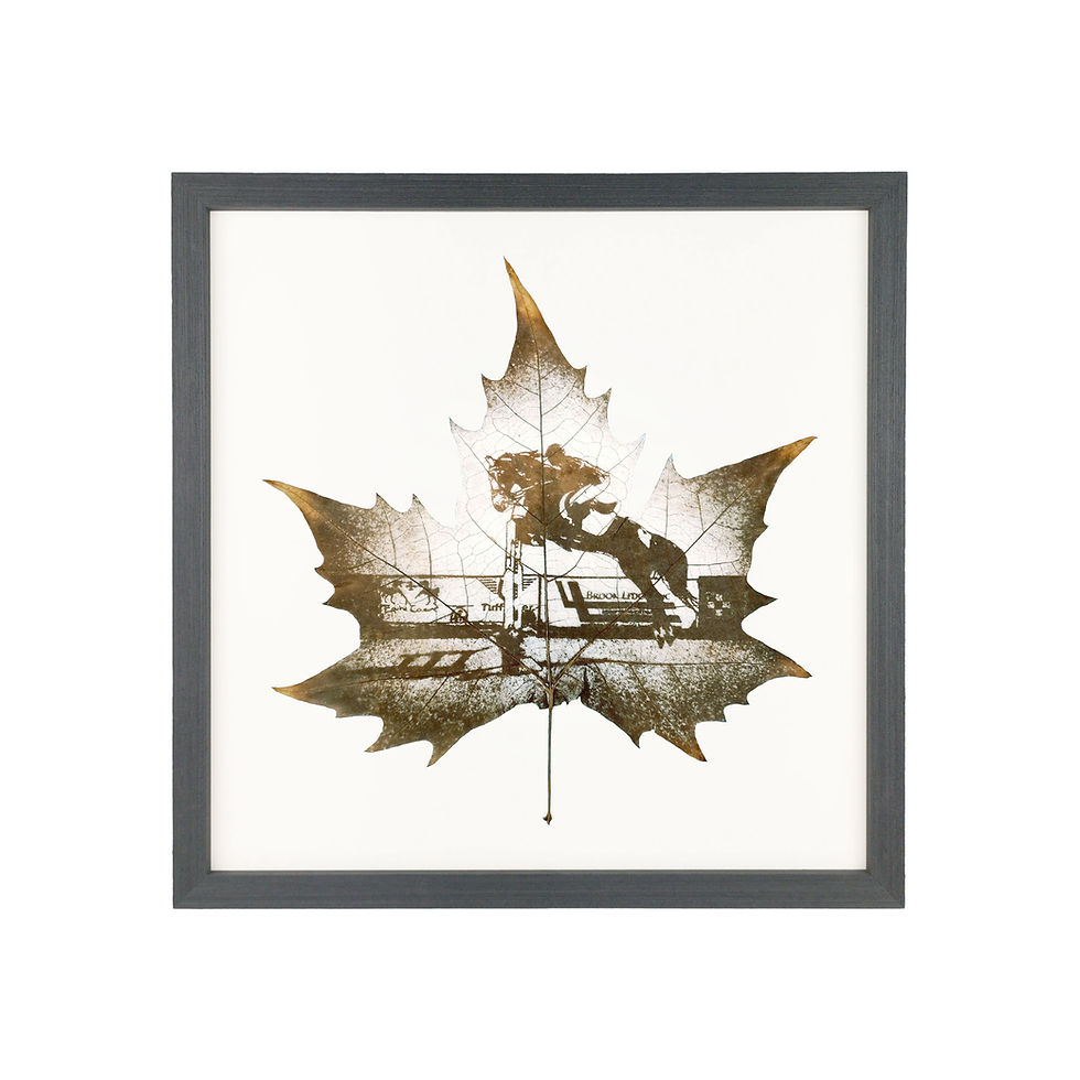 Thumbnail: Equestrian Leaf Carving Art In Basic Black Frame