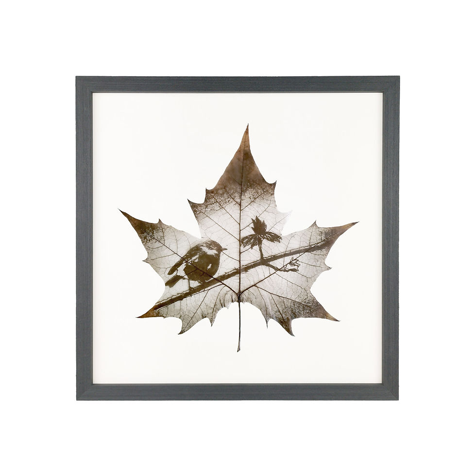 Thumbnail: Robin On Branch Leaf Carving Art In Basic Black Frame