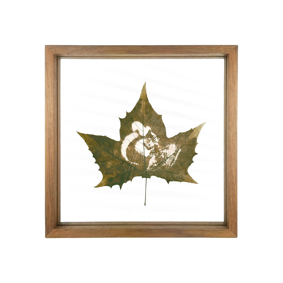 Playful Squirrel Leaf Carving Art In Premium Walnut Frame