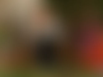 El humo del tabaco y tu perro – Efectos y peligros