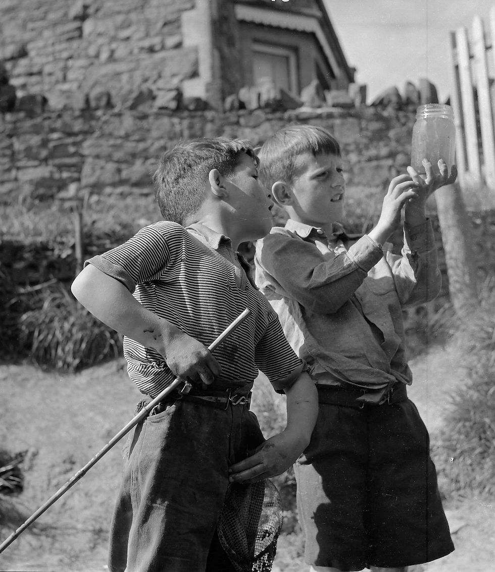 我的孩子對話能力好弱!!!