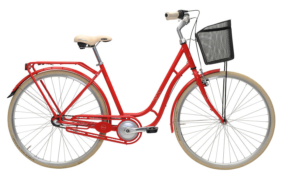 Ebsen Spirit of Saint Louis