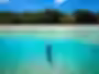 34716241725_530f4f3403_k.avif