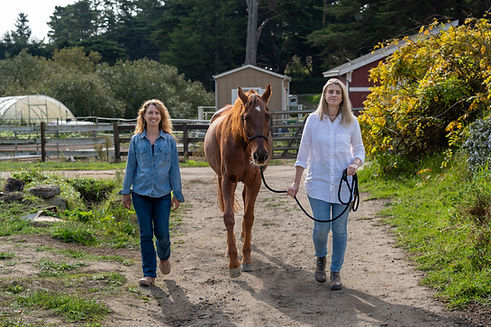 Jax & Rachel 2025-60.jpg