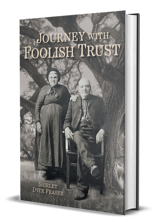 3D book image for Shirley Dyck Fraser's Journey With Foolish Trust