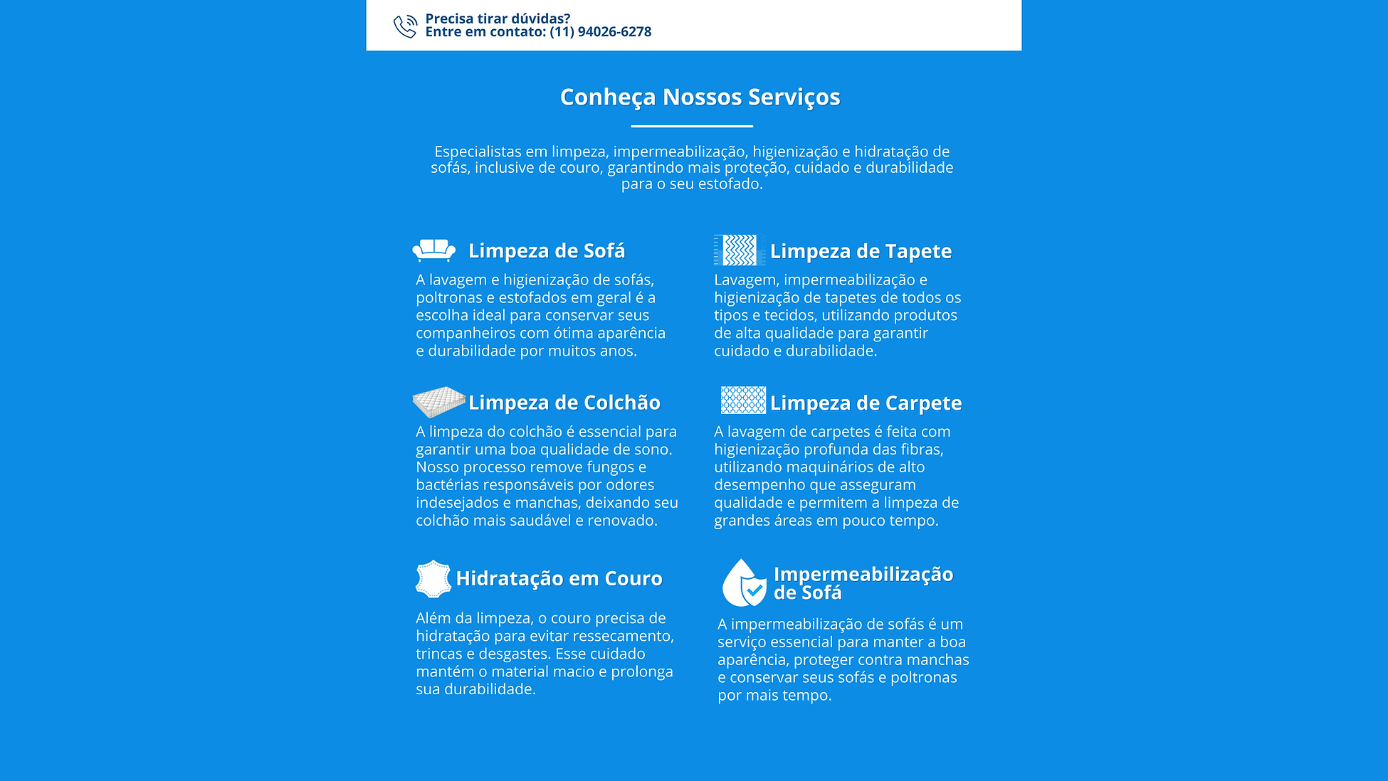 Serviços Higienize Express