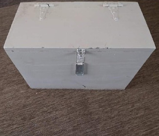 before chest_edited.jpg