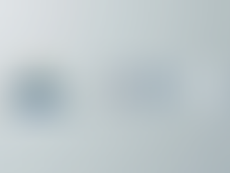 Are Auto Insurance Rates Negotiable? (Seattle, WA)