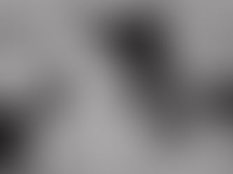 laura & cindy | elopement 