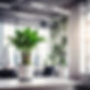 Office plant on desk in a bright modern office.jpg