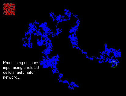 Rule 30 Sensory Processing