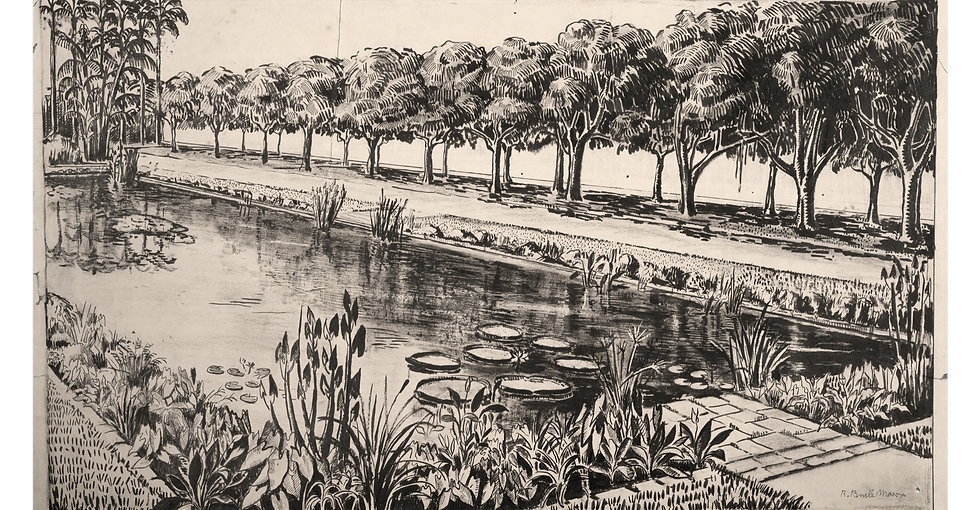 Sketch of garden of casa forte city hall