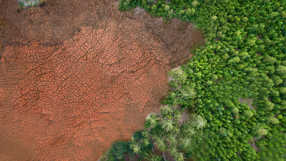 Desertification3.png