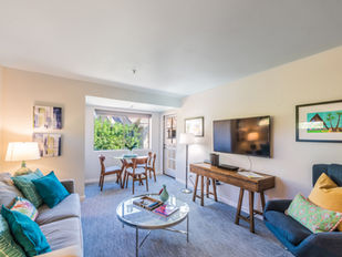 Downton Luxury Condo