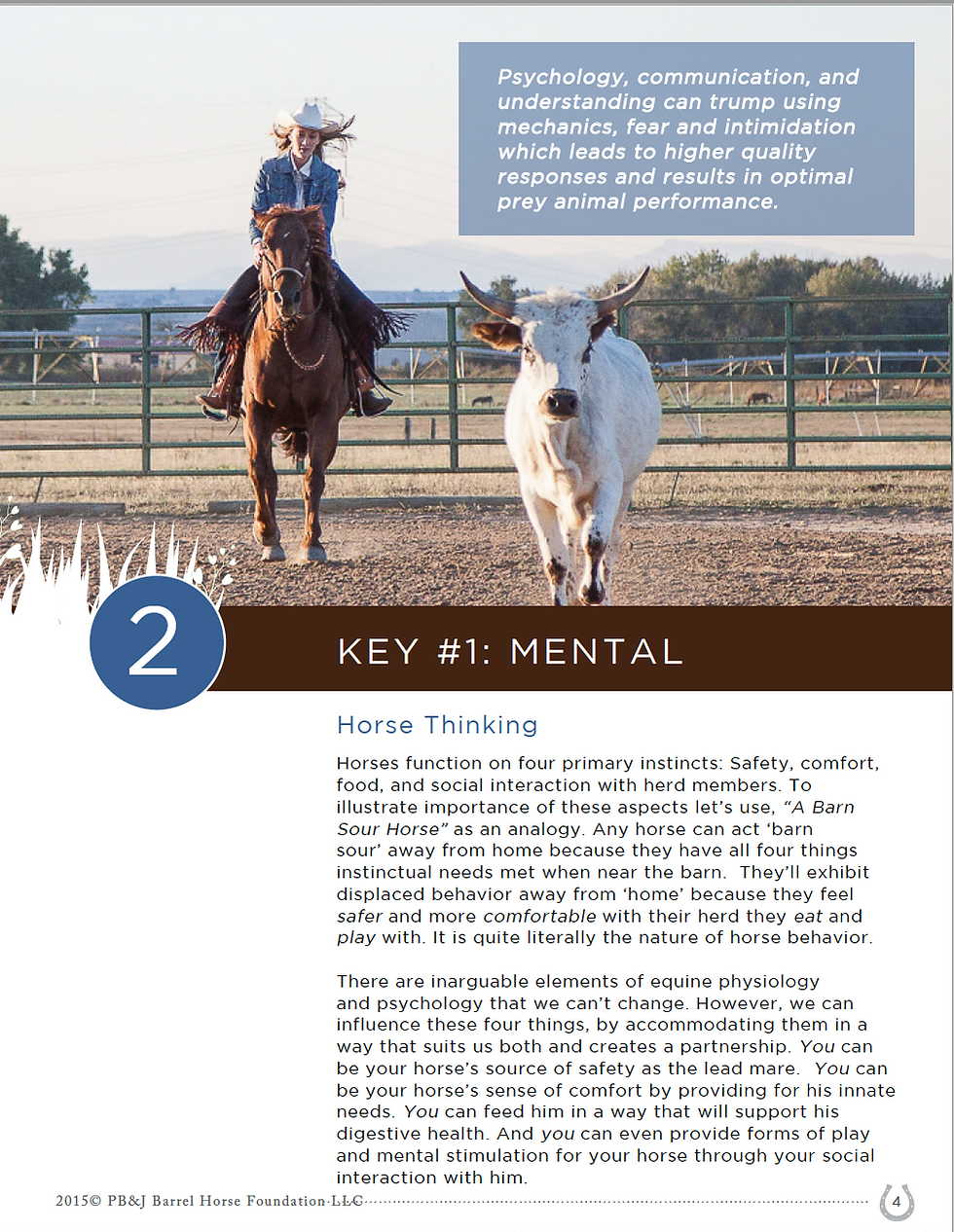 Thumbnail: 3 Keys to Becoming an Equine Expert Ebook
