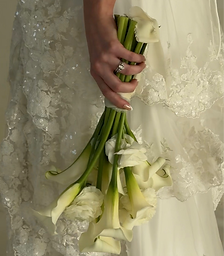 Arizona Wedding Details