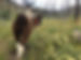thumb-rental-process-return.JPG