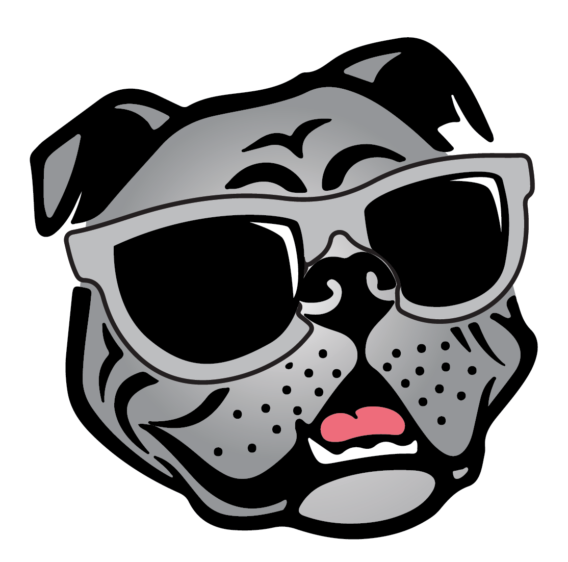 Silver Dog Sponsorship