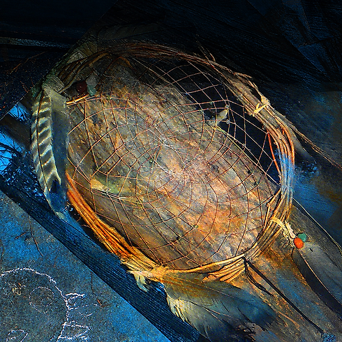 Textured Netted Shell in Deep Shadows.png