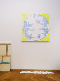 Installation views and artworks from Altered forms series by Aleksandra Cegielska.
