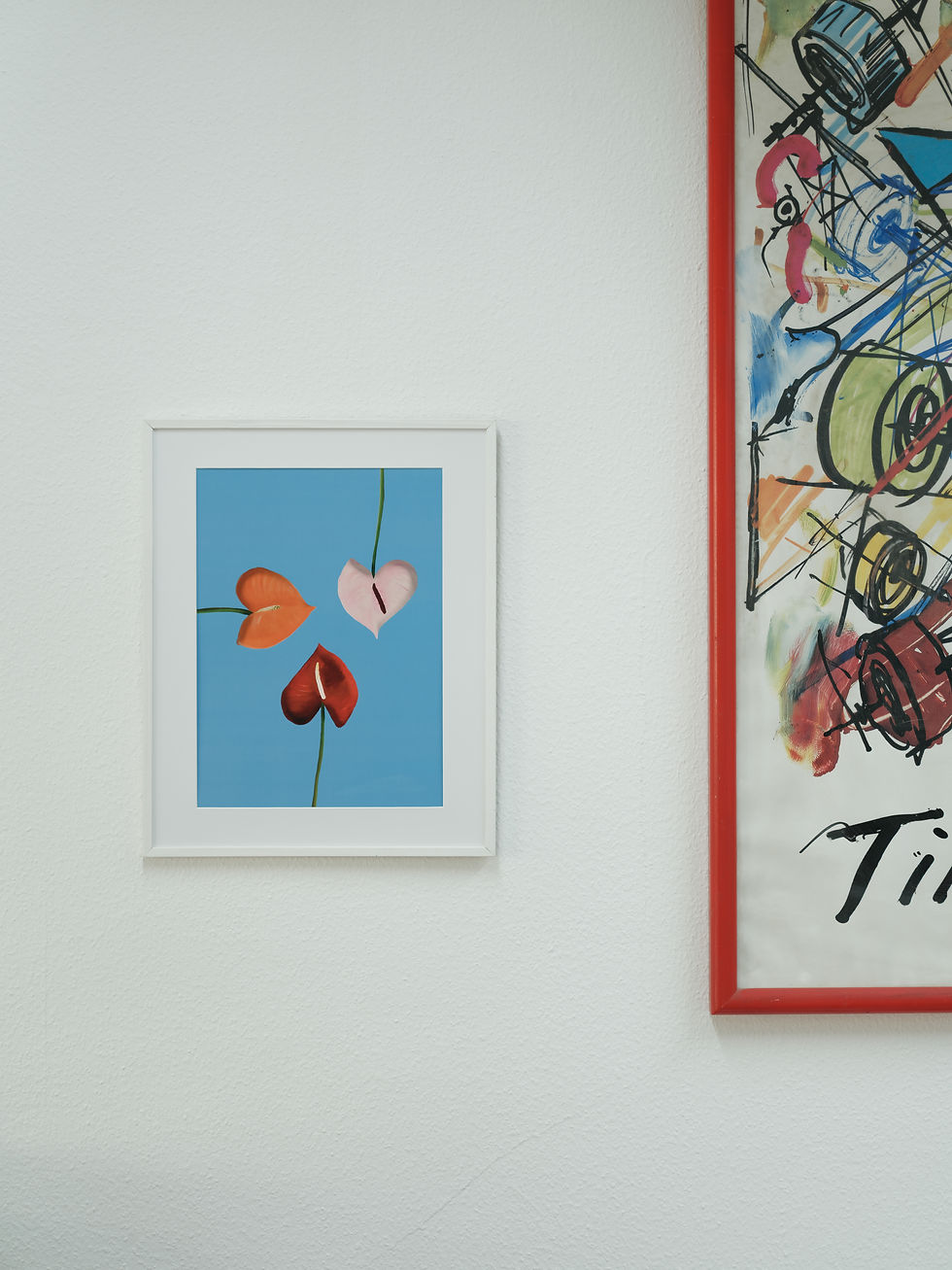 Thumbnail: Anthurium: Transmutations | Aleksandra Cegielska