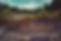 Holz.png