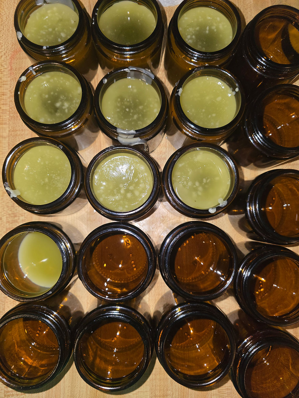 Thumbnail: Lemon Balm Salve