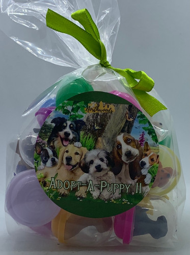 Adopt-A-Puppy II III Toys Set of 18 Northwoodsbathspa