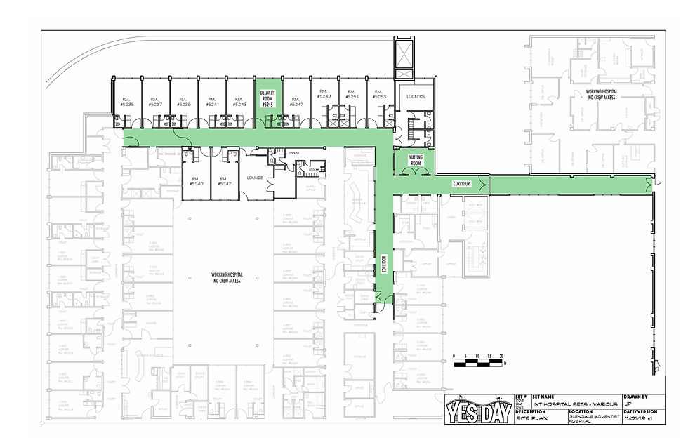 INT HOSPITAL Director's Plan