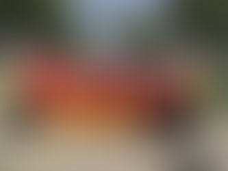  July 4th Parade in the city of Rosemead