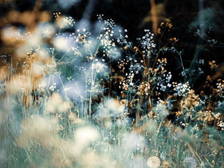 Abstract and Creative Photography