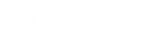Logo de Mentalidad suprema en png.png