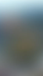 大灣區樓宇買賣手冊CH.1《第一次買國內樓，六個步驟》