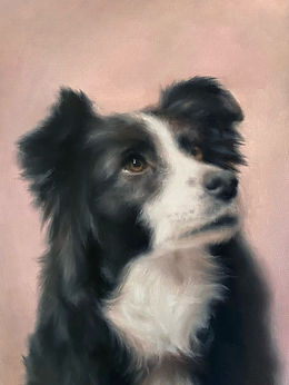 border collie oil painting
