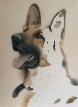 german shepherd painting