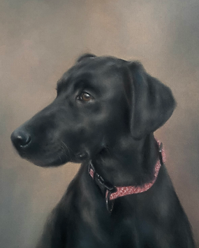black labrador retriever with pink collar oil painting