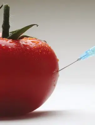 Should you care about GMOs?