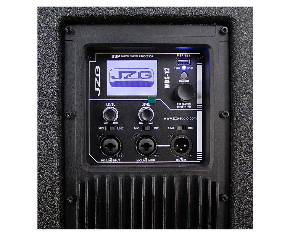 JZG WDS 12 3.png