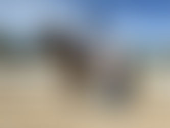 Training, Mentorship, and the Value of a Trusted Coach