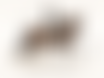 What True Collection Really Means 