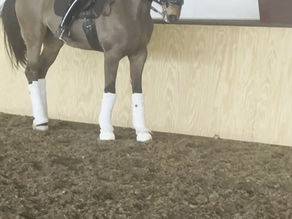 Piaffe: Where Strength Becomes Stillness 