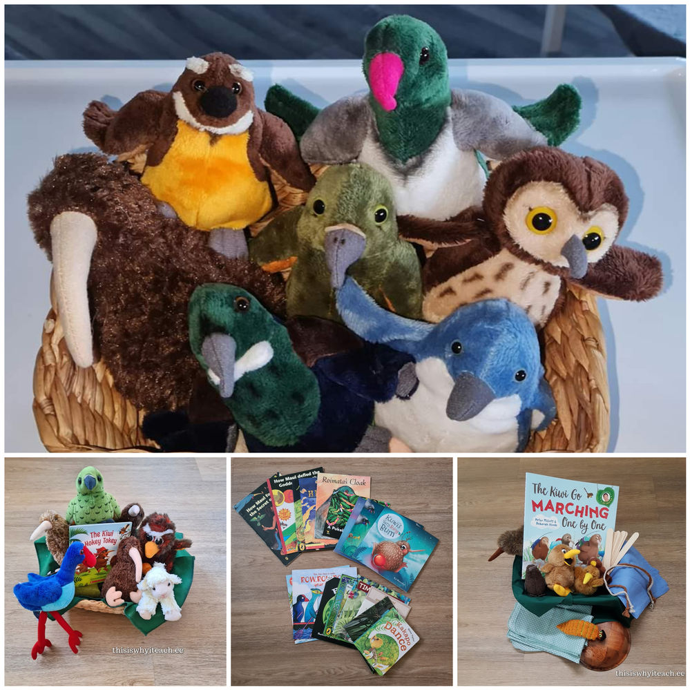 100+ books for your NZ bird puppets & 40 story baskets