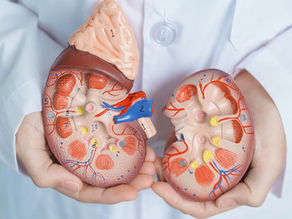 Doença renal em idosos