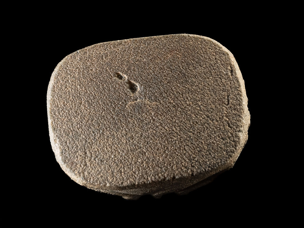 Miniature : Anepigraph  heart scarab